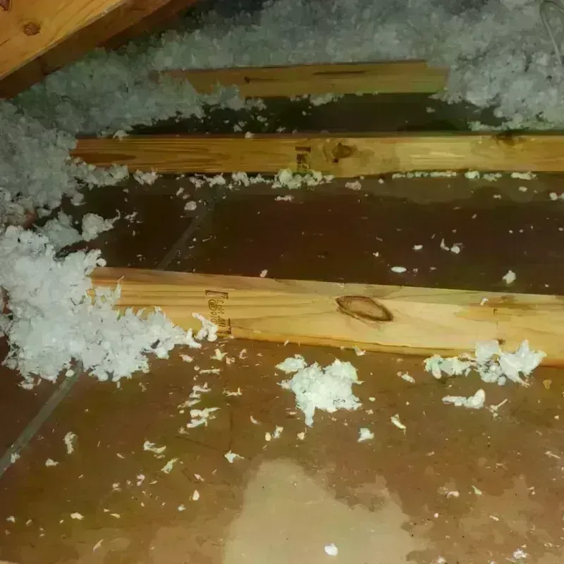 Attic Water Damage in Jericho, NY