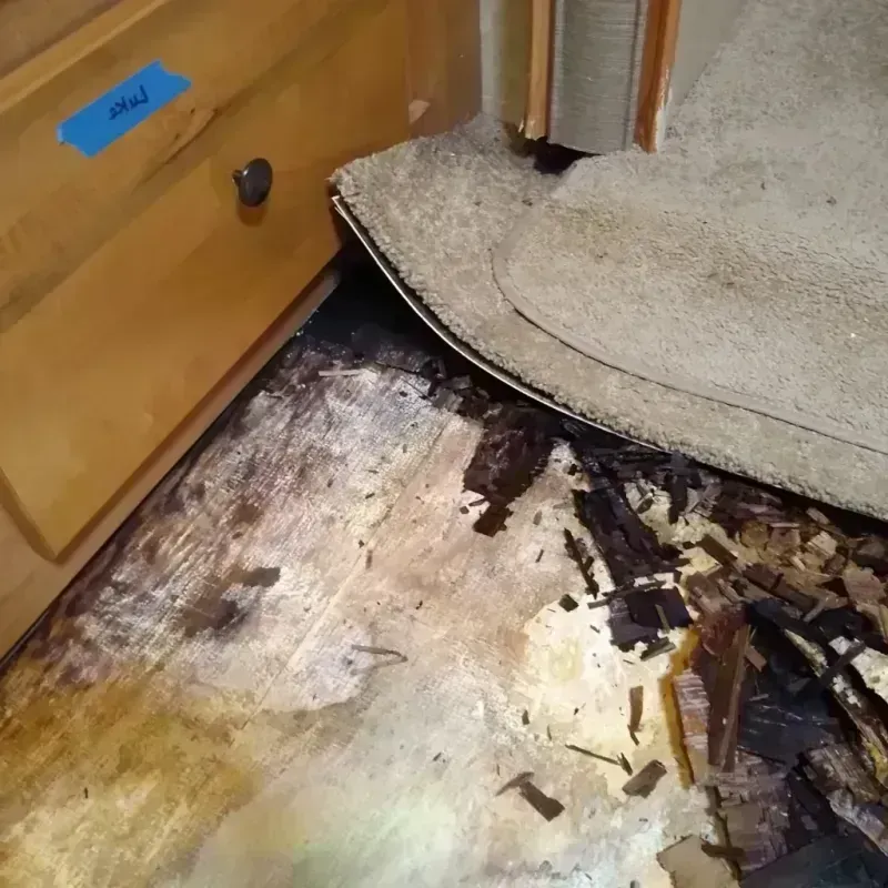 Best Wood Floor Water Damage Service in Jericho, NY